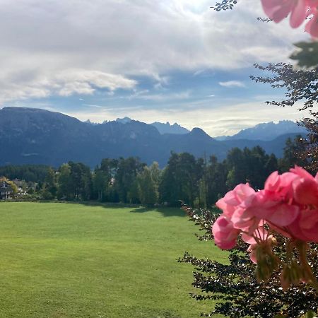 Wiesenhof Collalbo Bagian luar foto