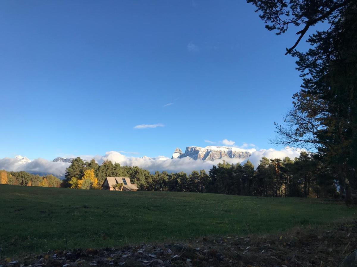 Wiesenhof Collalbo Bagian luar foto