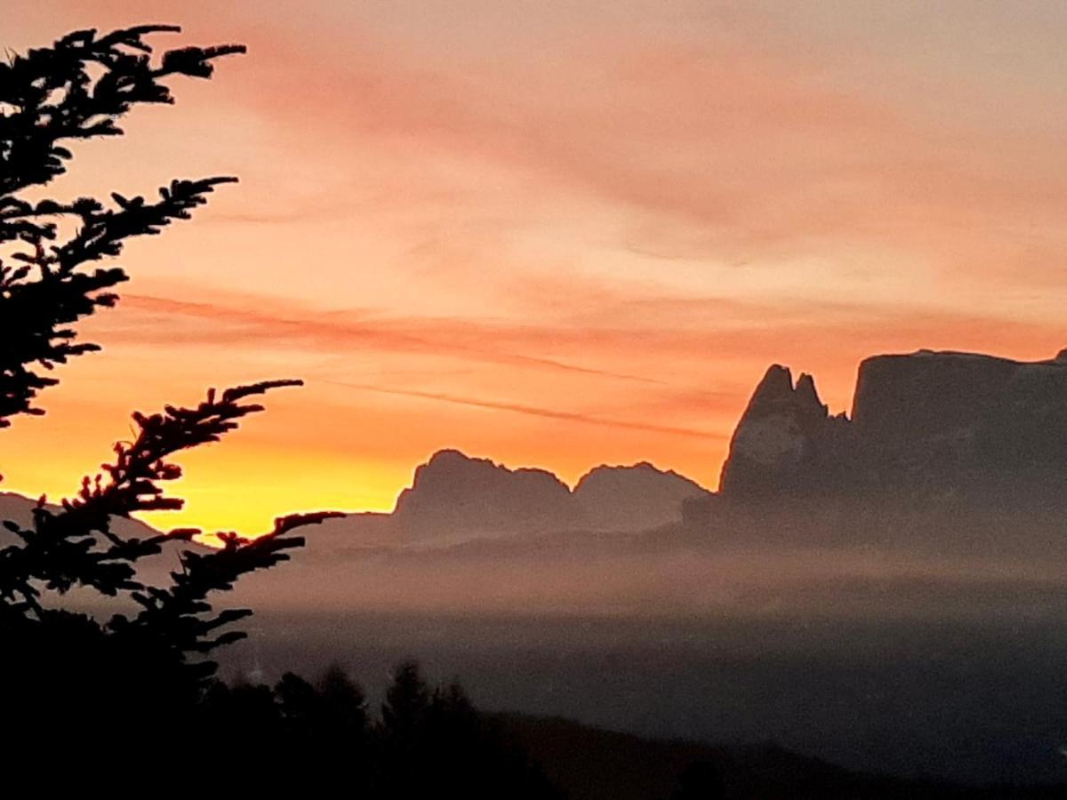Wiesenhof Collalbo Bagian luar foto