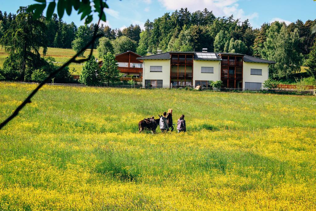 Wiesenhof Collalbo Bagian luar foto