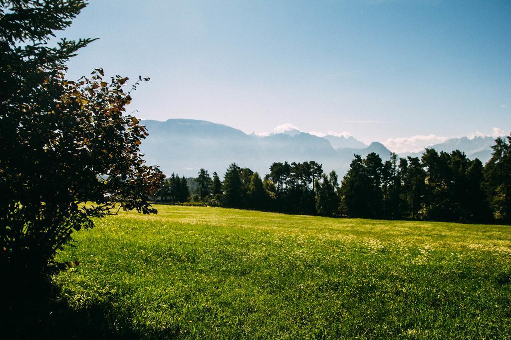 Wiesenhof Collalbo Bagian luar foto